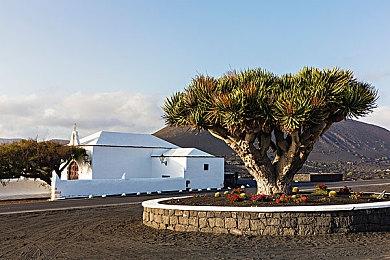 FS：《艾尔登法环》PC版帧率问题和鼠标控制软件有关